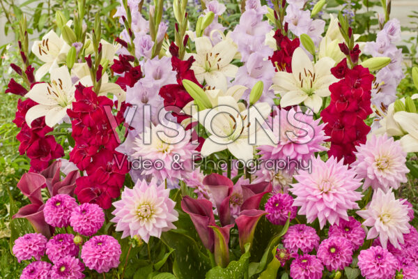 Mixed summer flowers Mixed summer flowers