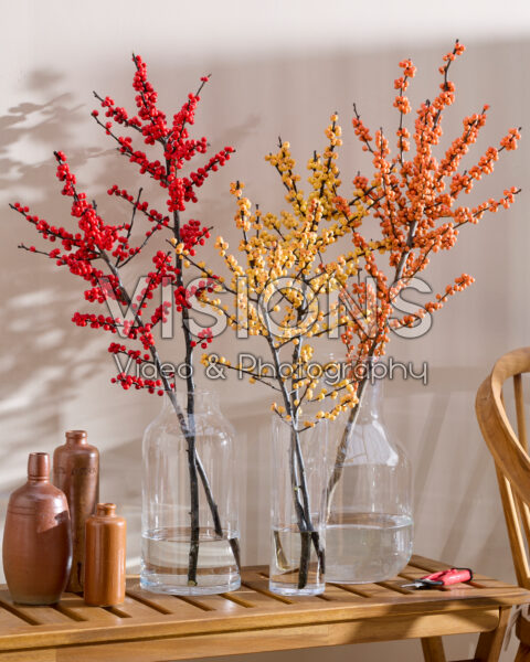 Ilex verticillata in vase Ilex verticillata in vase
