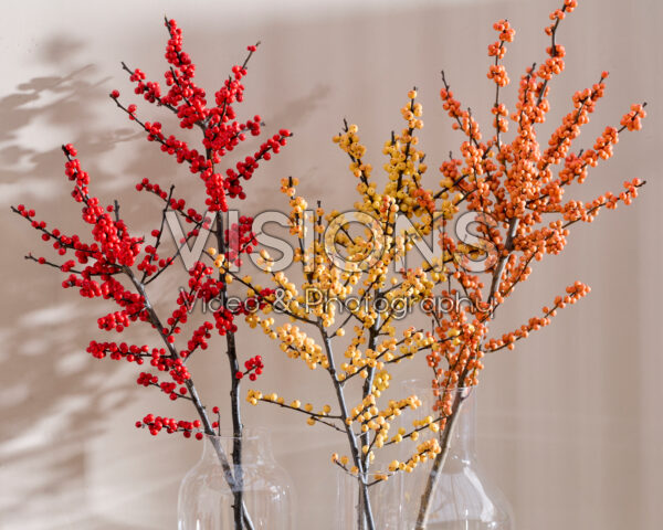 Ilex verticillata in vaas