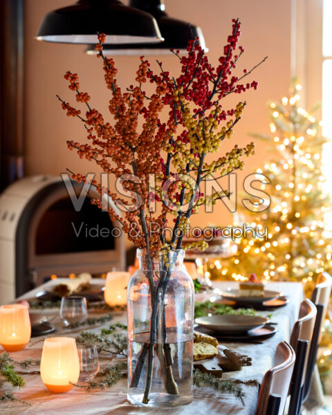 Ilex verticillata in vase