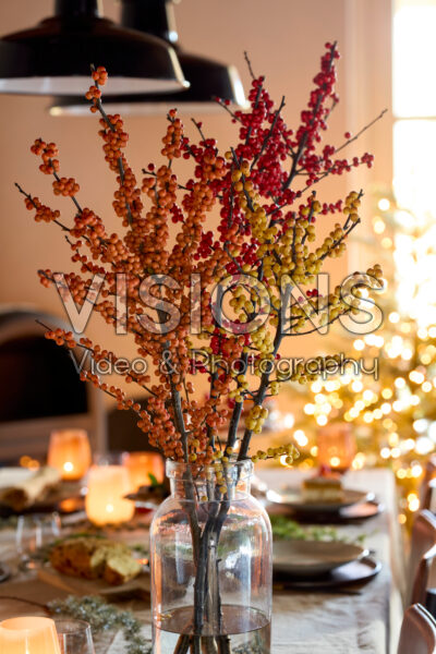 Ilex verticillata in vaas