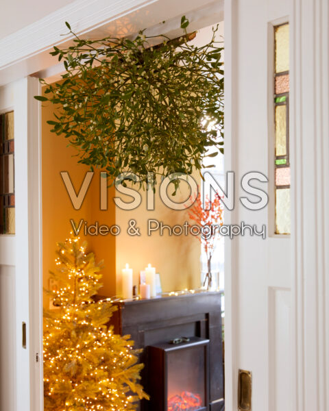 Mistletoe, Viscum album