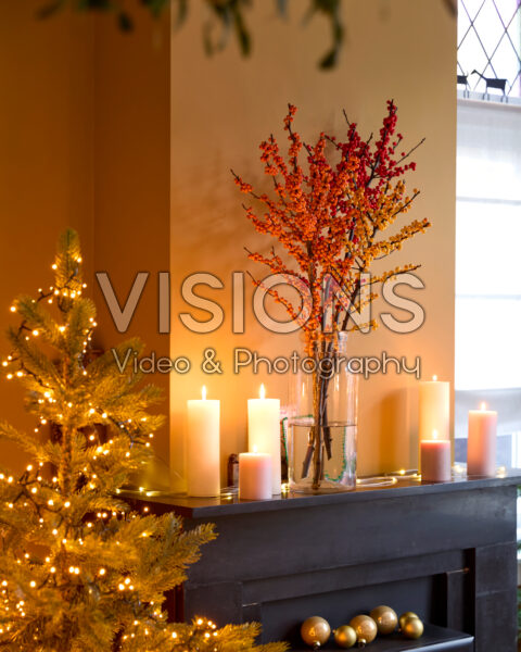 Ilex verticillata in vase
