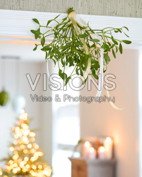 Mistletoe, Viscum album