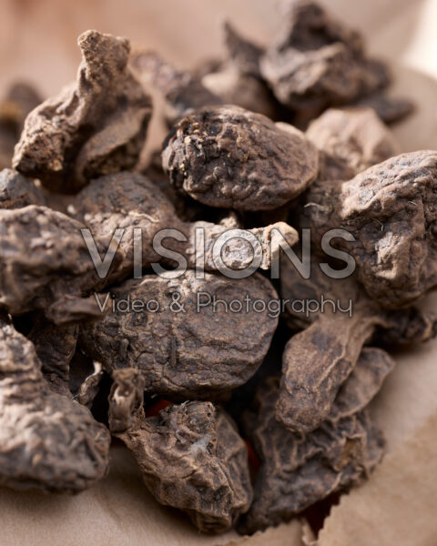 Anemone coronaria bollen