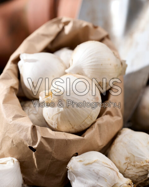 Allium atropurpureum bollen