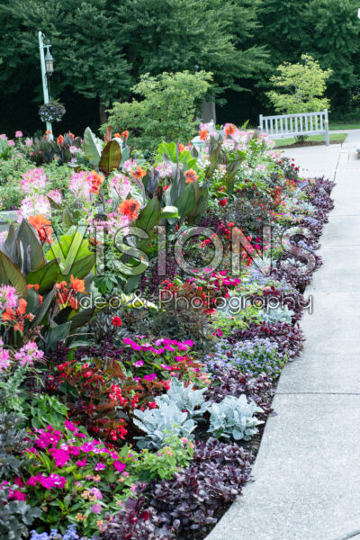 Annual mixed border Annual mixed border