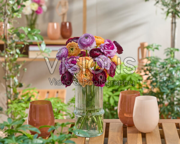 Ranunculus Clooney mixed