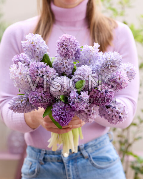 Mixed hyacinth bouquet Mixed hyacinth bouquet