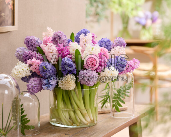 Mixed hyacinth bouquet