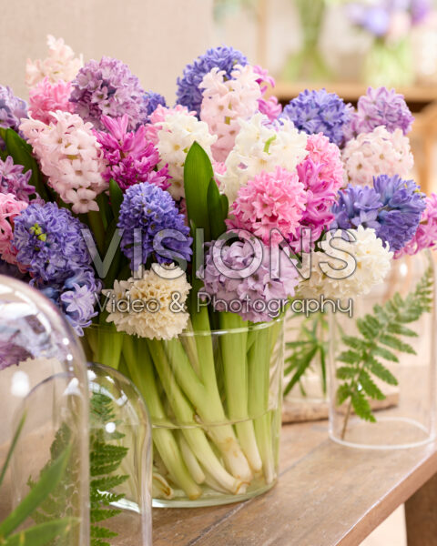 Mixed hyacinth bouquet