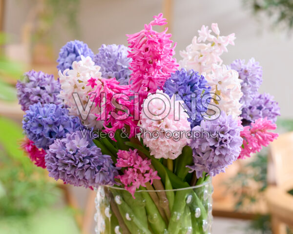 Mixed hyacinth bouquet