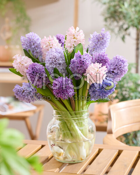 Mixed hyacinth bouquet