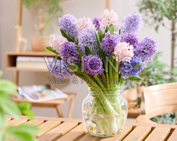 Mixed hyacinth bouquet Mixed hyacinth bouquet