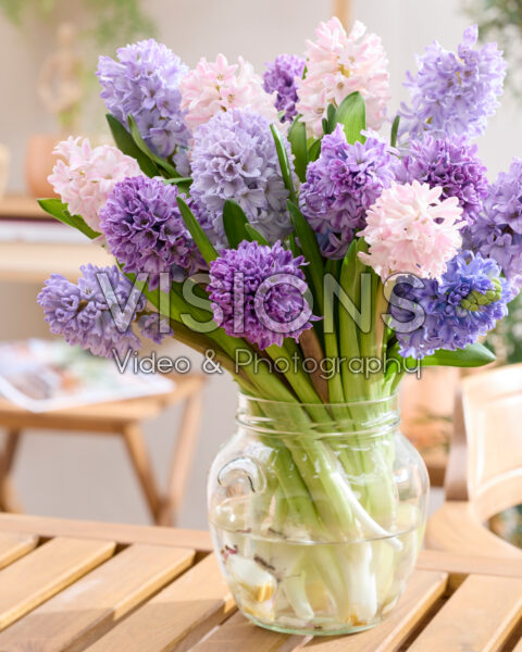 Gemengd hyacinten boeket