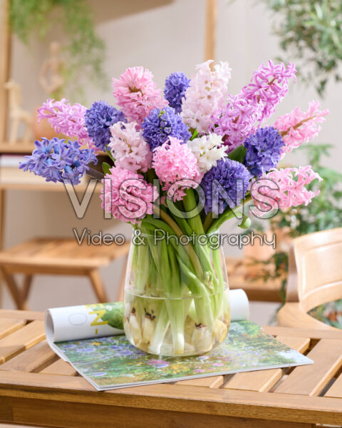 Mixed hyacinth bouquet