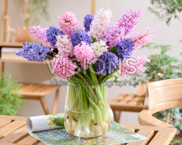 Mixed hyacinth bouquet
