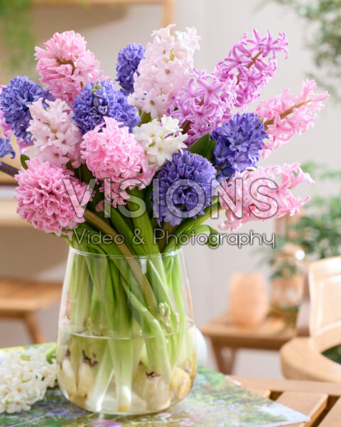 Gemengd hyacinten boeket