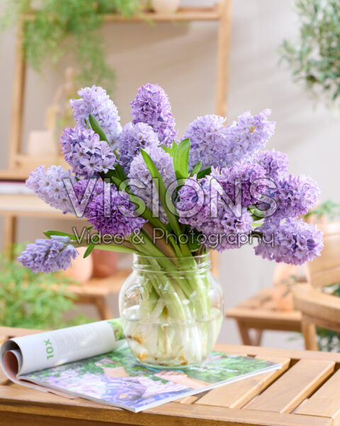 Mixed hyacinth bouquet purple