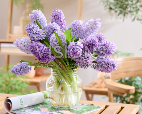 Mixed hyacinth bouquet purple