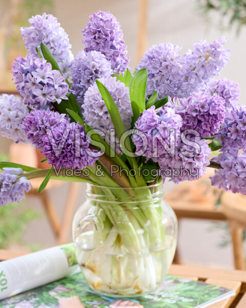 Mixed hyacinth bouquet purple
