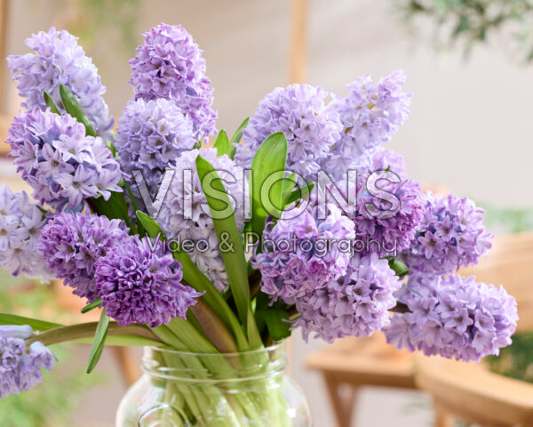 Mixed hyacinth bouquet purple
