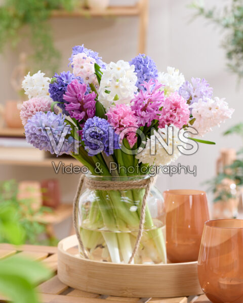 Mixed hyacinth bouquet