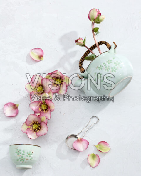 Floral cup of tea Floral cup of tea