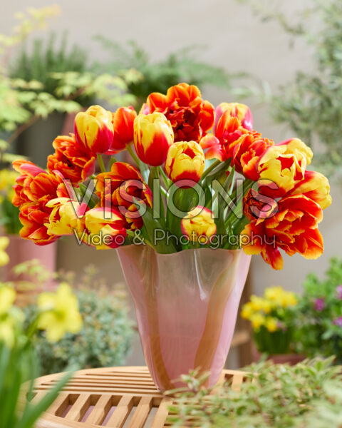Mixed tulip bouquet Mixed tulip bouquet