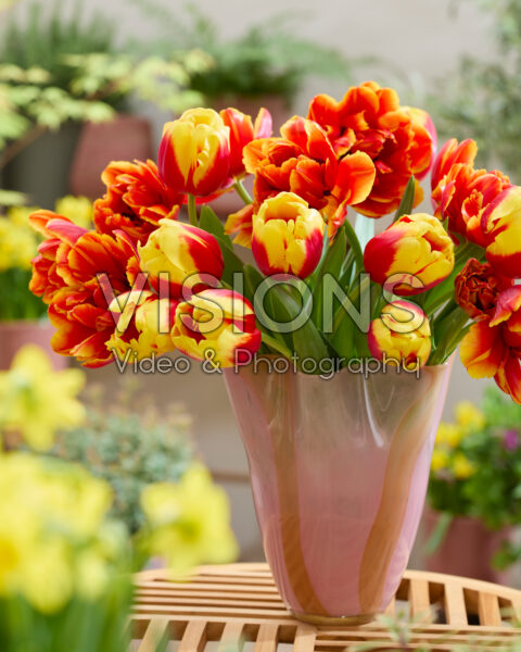 Gemengde tulpen boeket
