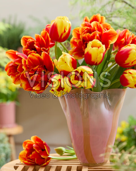 Mixed tulip bouquet Mixed tulip bouquet