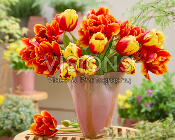 Gemengde tulpen boeket