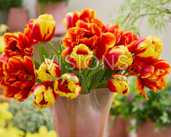 Mixed tulip bouquet