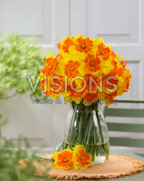 Narcissus Marion Pearce