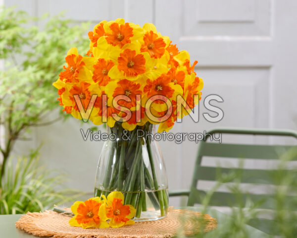 Narcissus Marion Pearce