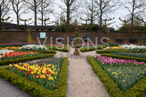 Buxus BetterBuxus® Babylon Beauty