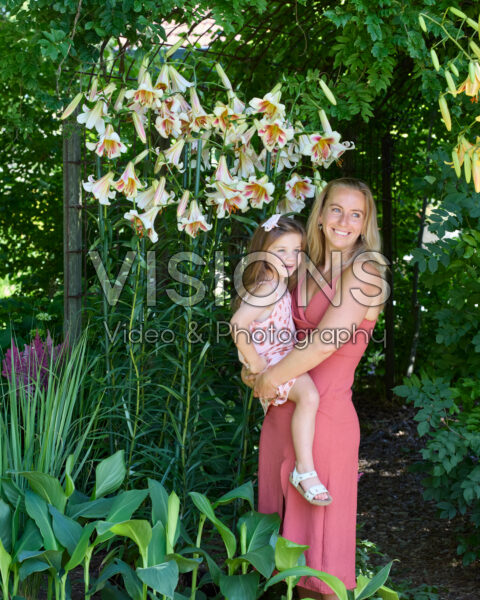 Lilium Passion Moon