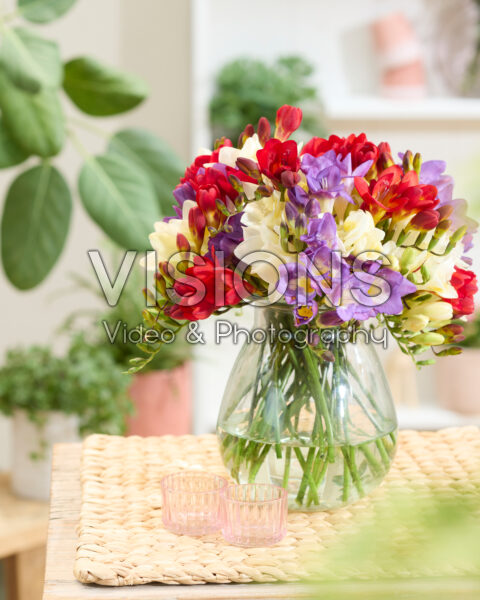 Freesia bouquet mixed