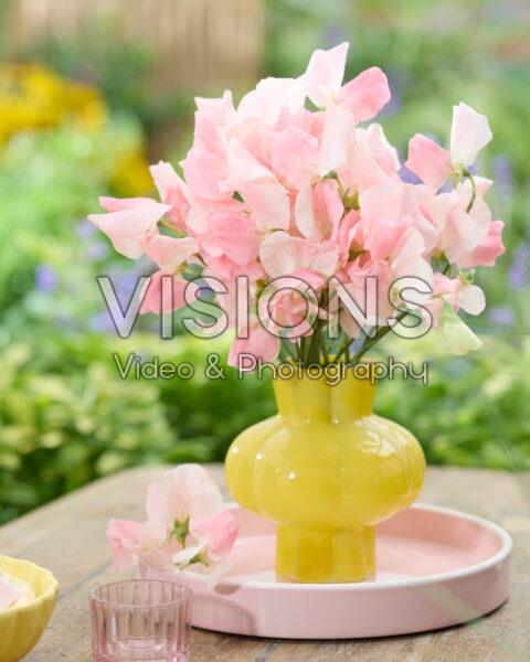 Lathyrus boeket Lathyrus boeket