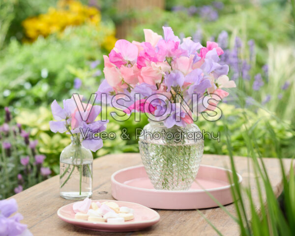 Lathyrus boeket