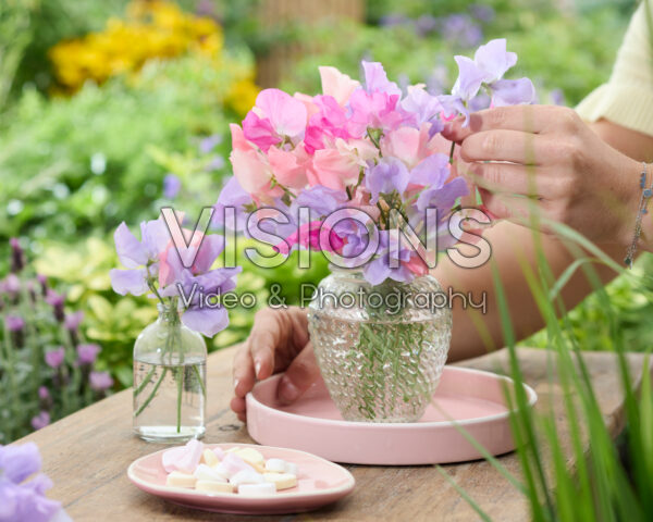 Lathyrus bouquet