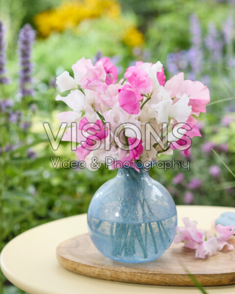 Lathyrus bouquet