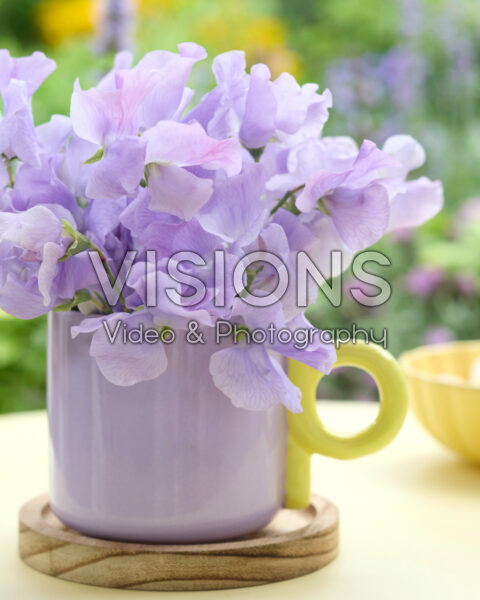 Lathyrus bouquet