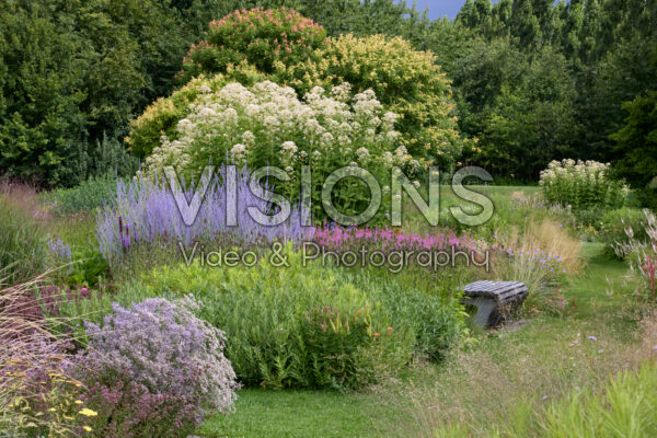Vaste planten tuin
