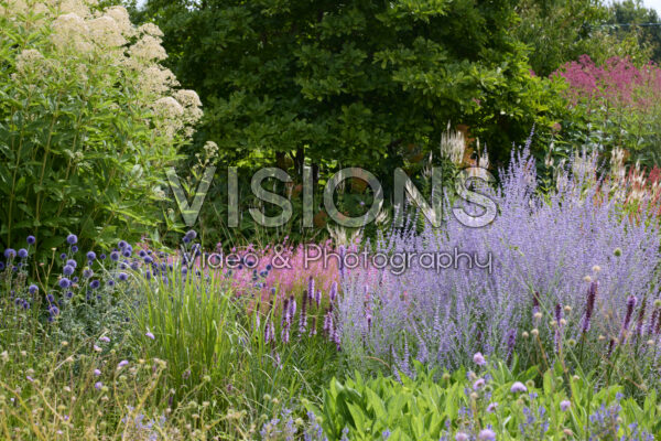 Perennial garden 