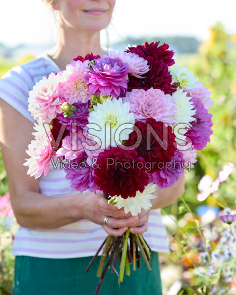 Gemengd Dahlia Karma boeket