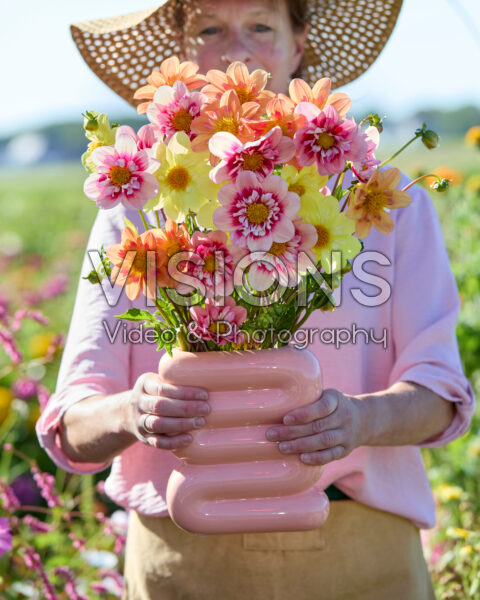 Gemengd halskraag dahlia boeket Gemengd halskraag dahlia boeket