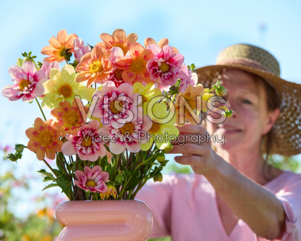 Mixed collerette dahlia bouquet