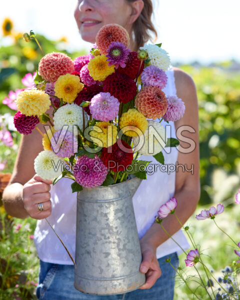 Gemengd bal dahlia boeket