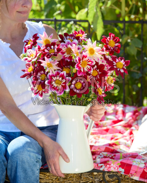 Mixed collerette dahlia bouquet